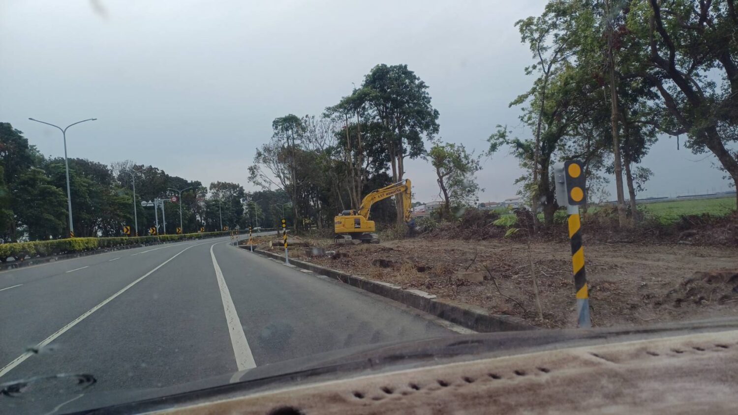 台糖一意孤行砍樹　當地民眾怒：百姓被騙了