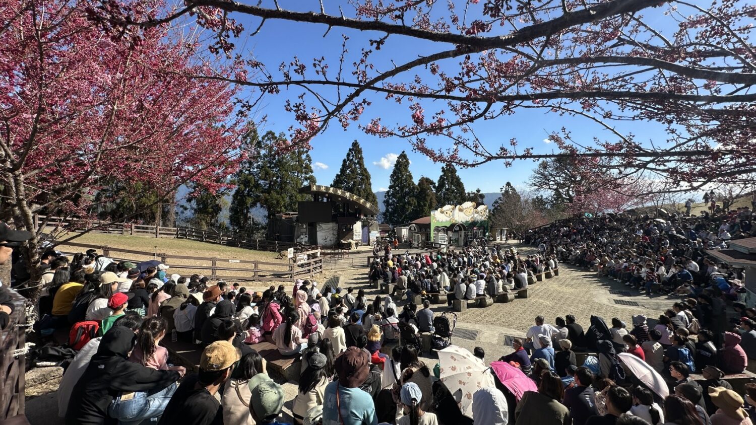 年迎 68 萬客  清境農場穩居高山首選
