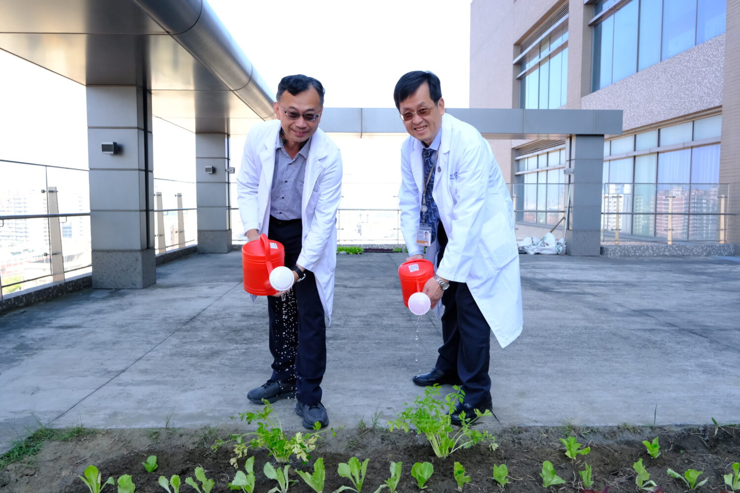 小港醫院植樹節推永續菜圃 循環經濟從餐桌到餐桌
