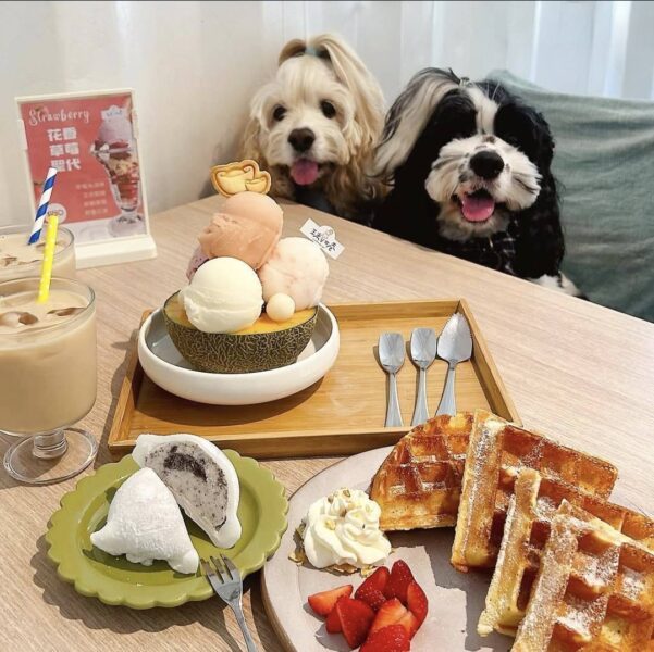 屏東推寵物友善　民眾走訪店家拿好禮、親子毛孩一起玩