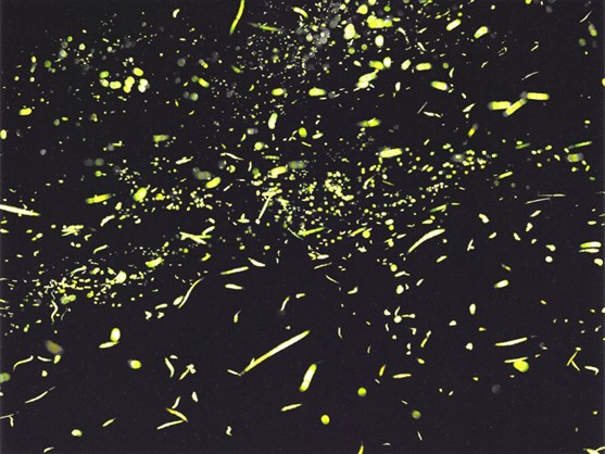 2026那瑪夏賞螢暨水蜜桃季好吃又好玩 邀民眾走進民生休區體驗生態農遊