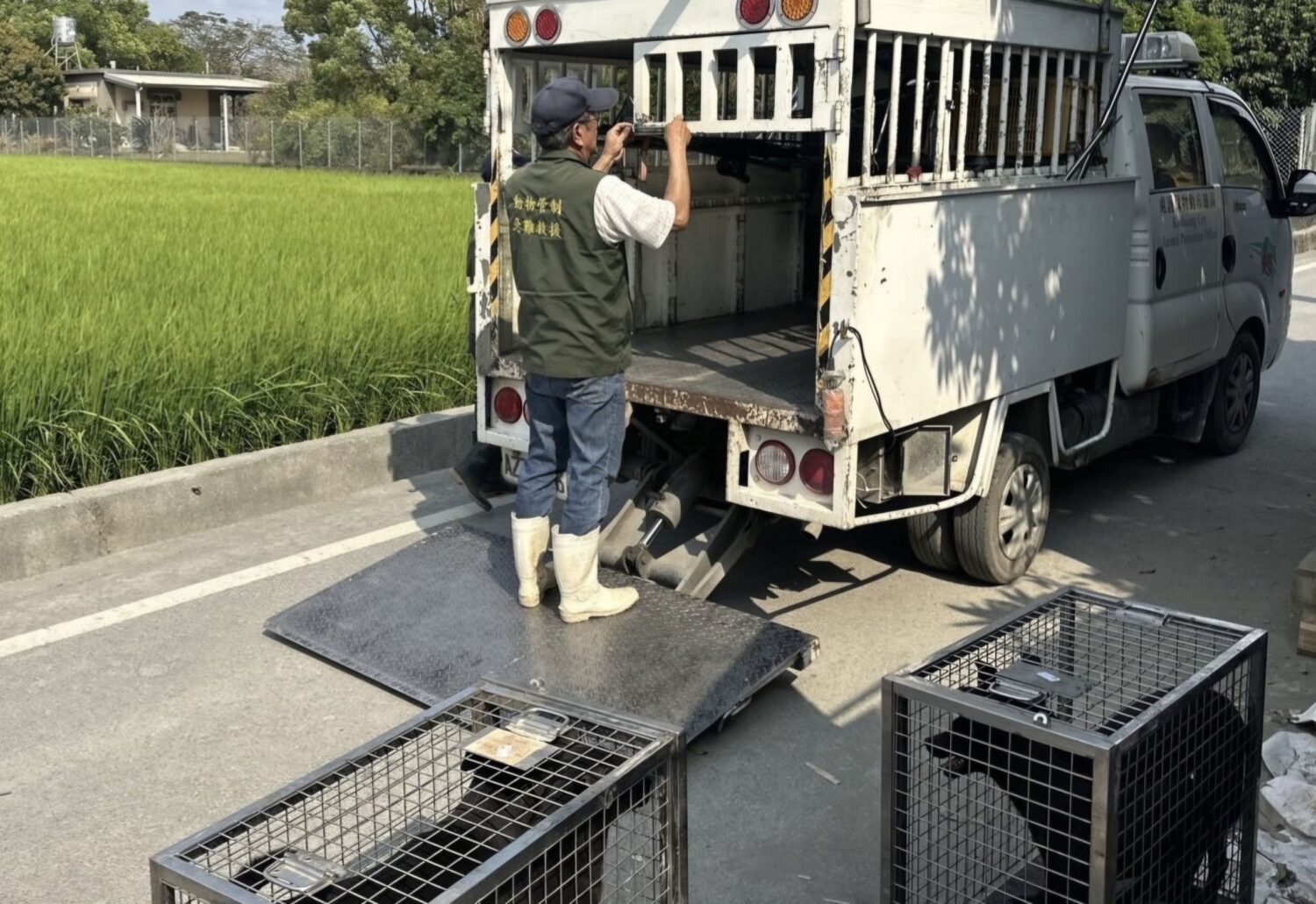 高市動保處稽查私人狗園不鬆懈 美濃森林狗園收容量已減少6成