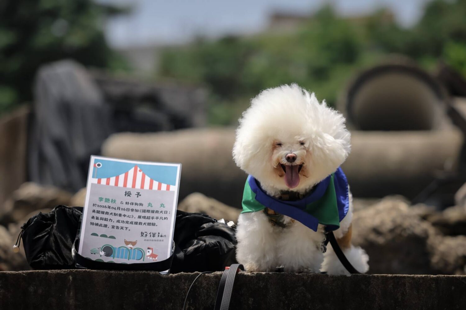 響應國際搜救犬日！ 高雄市動保處邀25隻「好伴狗狗」勇闖神秘訓練中心體驗一日搜救犬