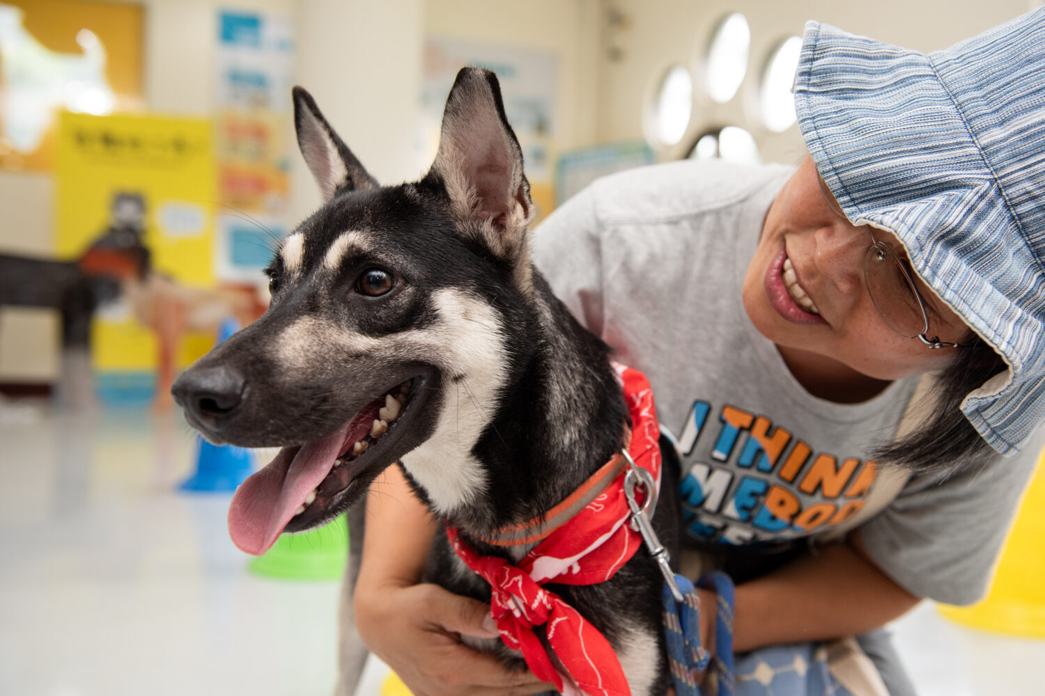 高雄市首創「樂陪犬」陪跑 4月啟動 號召跨世代報名當「浪浪守護者」