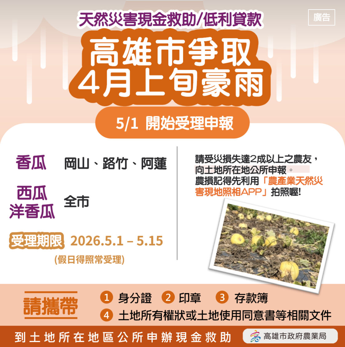 4月上旬豪雨致災 洋香瓜、西瓜及香瓜農損救助 高市農業局5月1日起受理