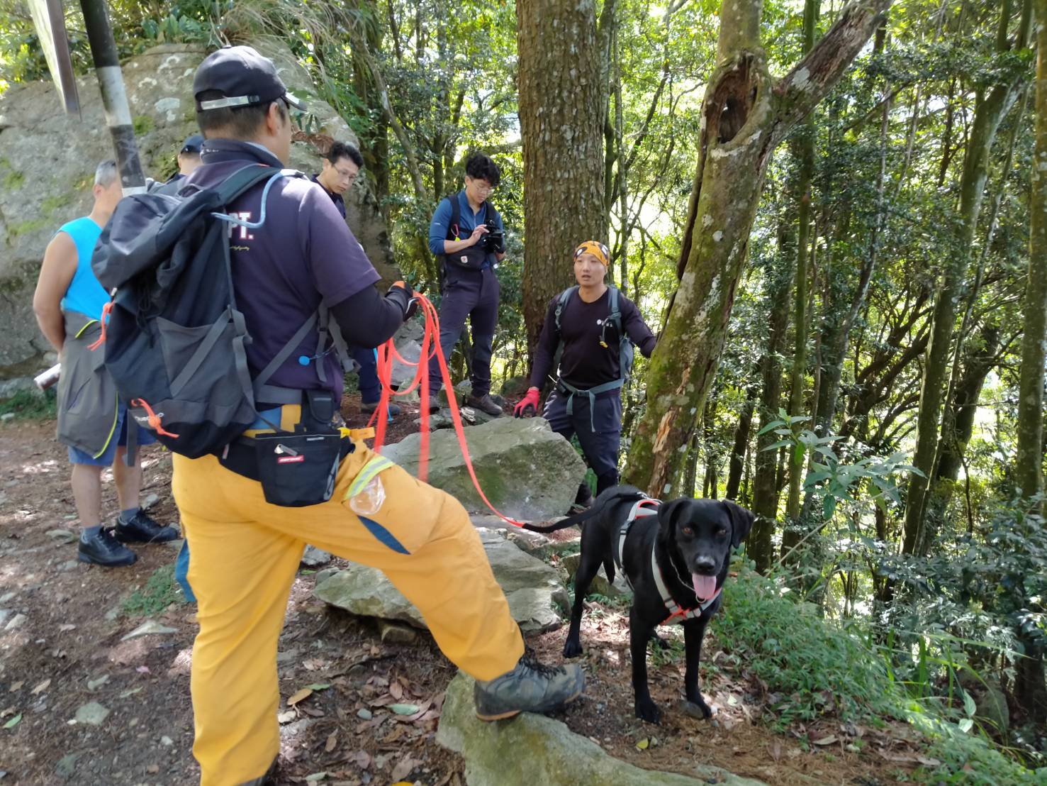 2搜救犬光榮退役  前往新家開啟幸福「毛生」
