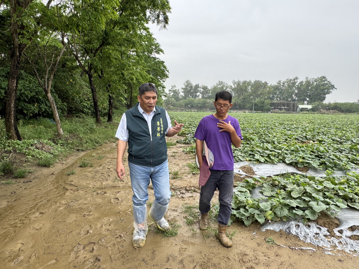 臺南擴大草鴞保育版圖　9區串聯打造生態廊道