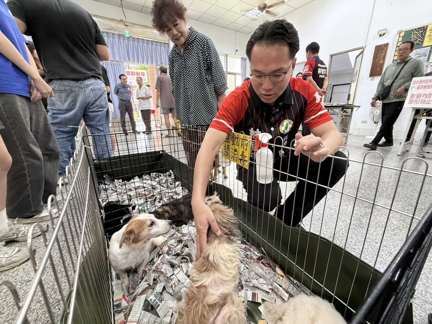 國際寵物日林智鴻送大禮 成功爭取「樂陪犬」政策