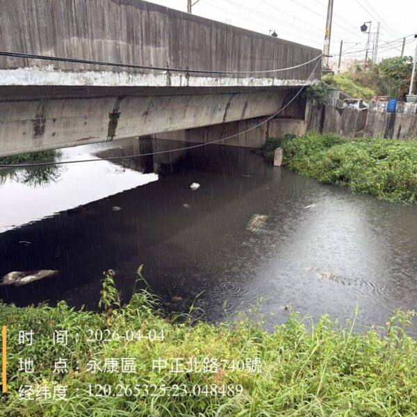 永康區排水渠道大量魚隻死亡 水利局連假期間迅速打撈維護環境