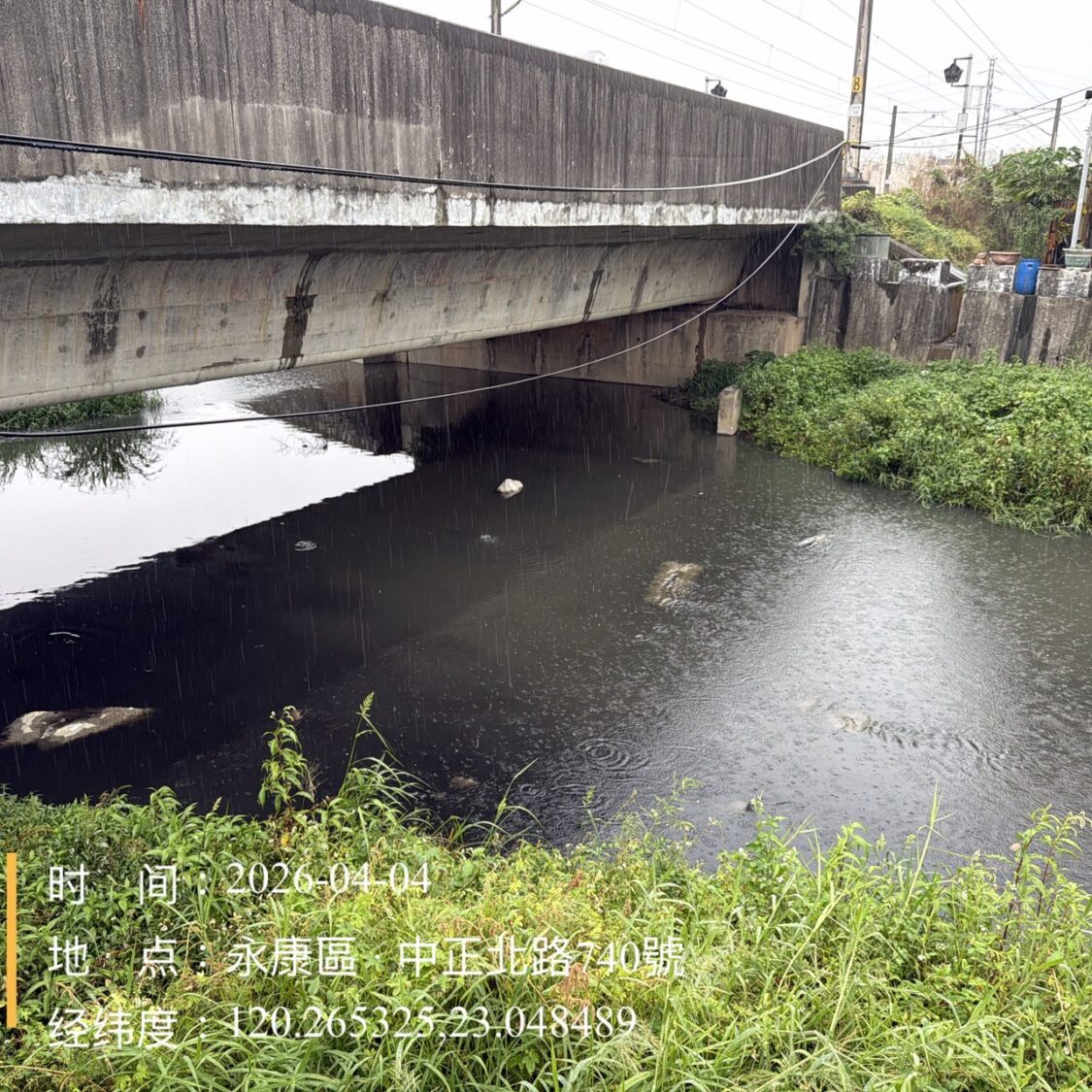 永康區排水渠道大量魚隻死亡 水利局連假期間迅速打撈維護環境 永康區排水渠道大量魚隻死亡 水利局連假期間迅速打撈維護環境