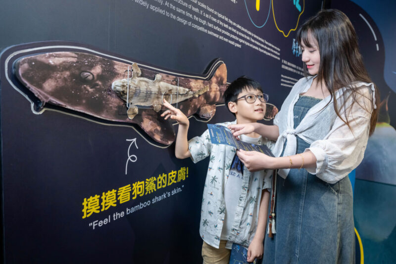 Xpark春季限定登場！解鎖「原來如此」4月3日盛大登場