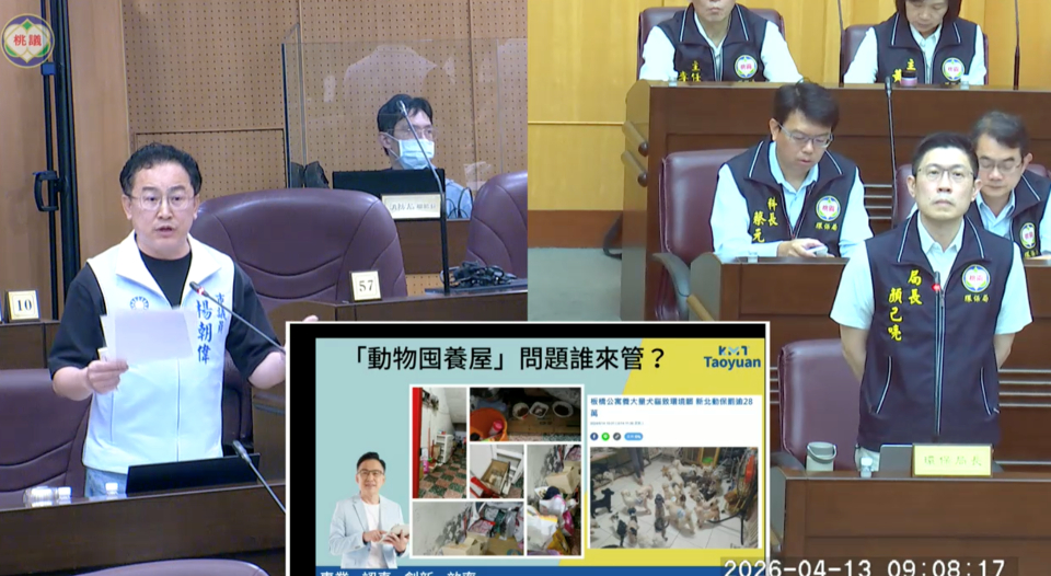 楊朝偉質詢住宅囤積行為與動物超量飼養問題　要求相關單位解決　