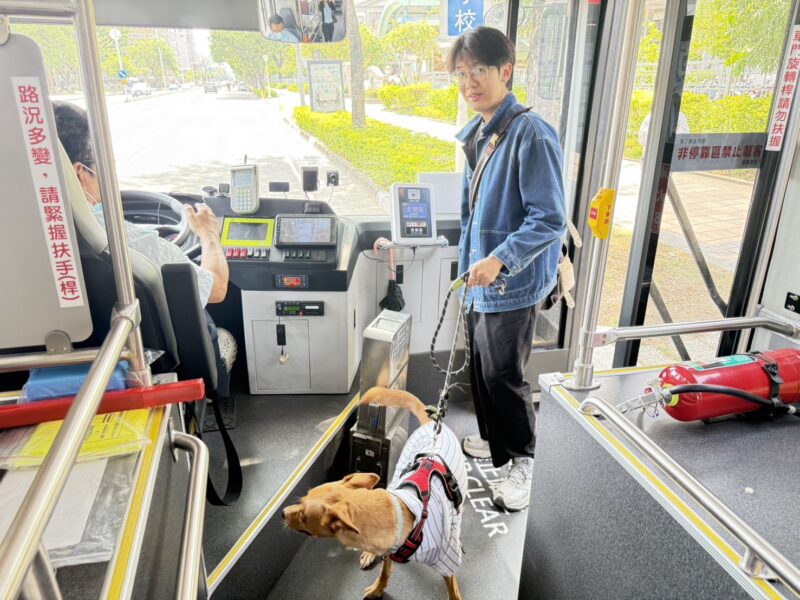 高雄試辦「假日狗狗友善公車」　特定路線免裝籠