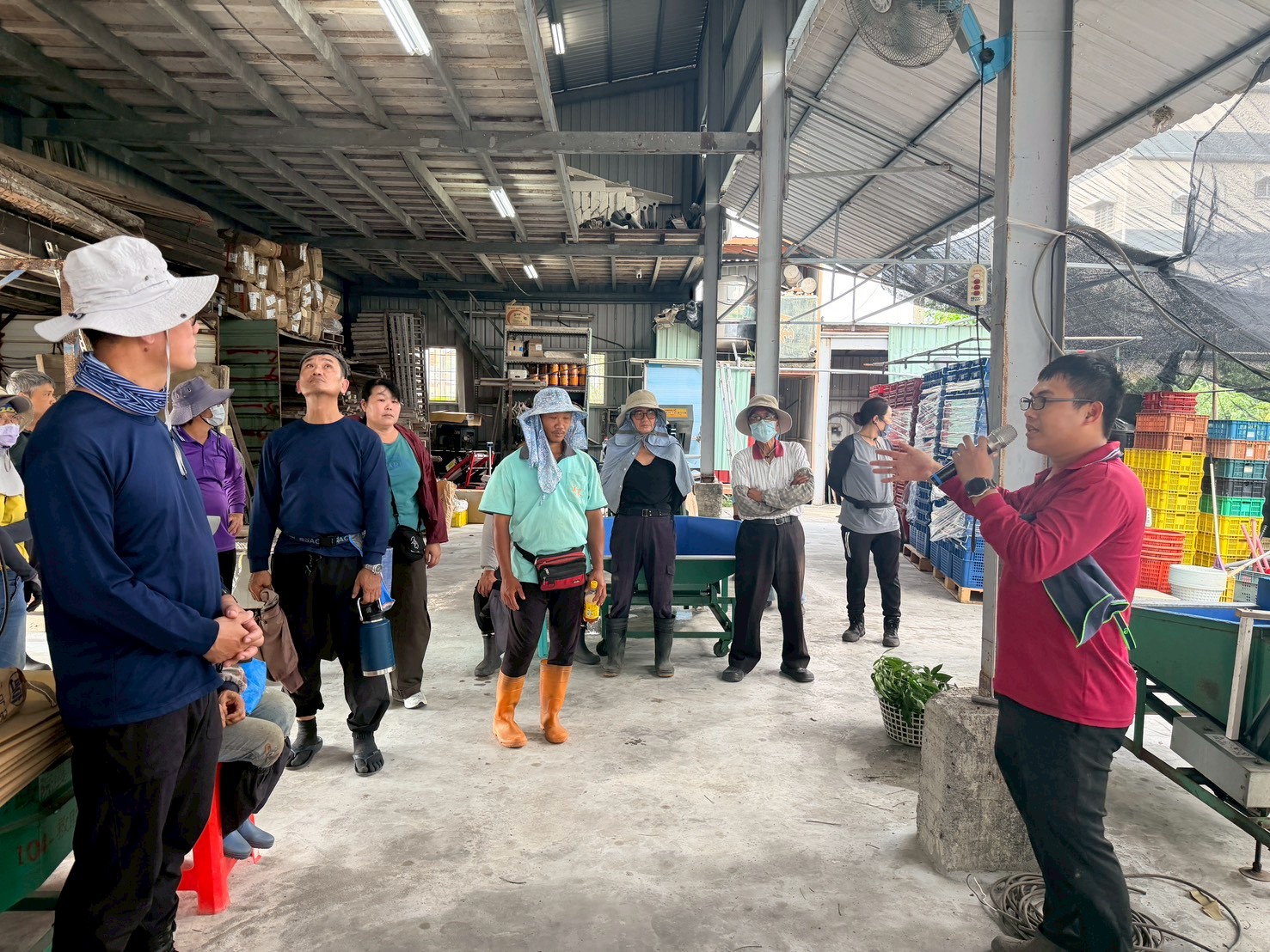 玉荷包產季將至 高市農業局「徵才×培訓」雙管齊下助攻農忙 玉荷包產季將至 高市農業局「徵才×培訓」雙管齊下助攻農忙