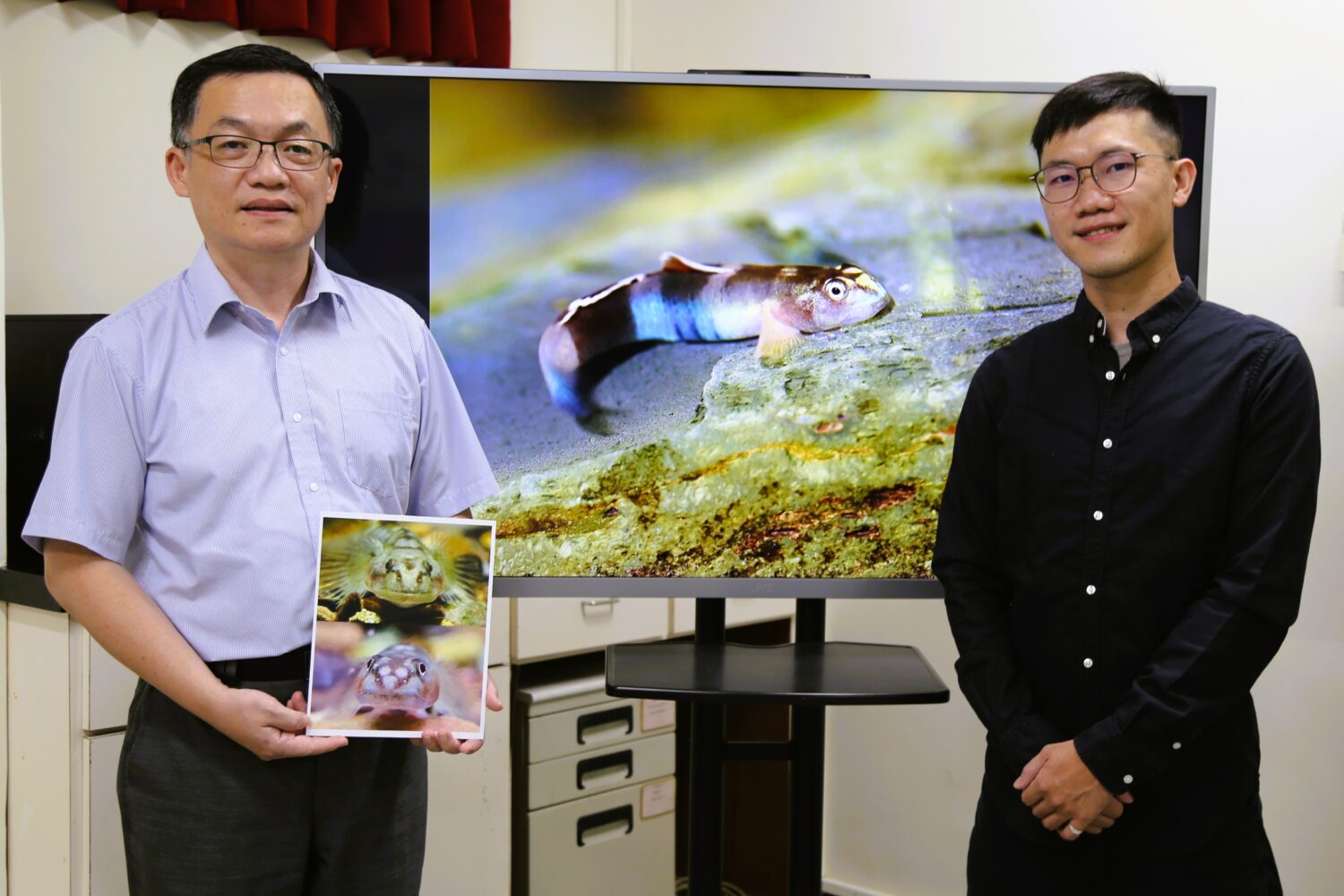 中山大學發現「紋面韌鰕虎」 新種魚命名致敬原民紋面文化 中山大學發現「紋面韌鰕虎」 新種魚命名致敬原民紋面文化