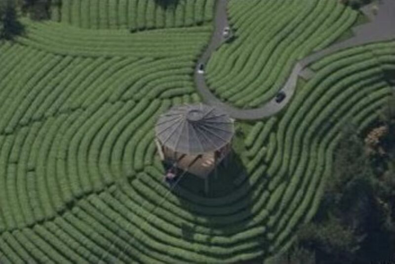 遊茶竹覽峽瀑  太極美地纜車計畫大突破