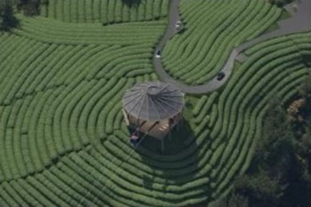 遊茶竹覽峽瀑  南投太極美地計畫大突破