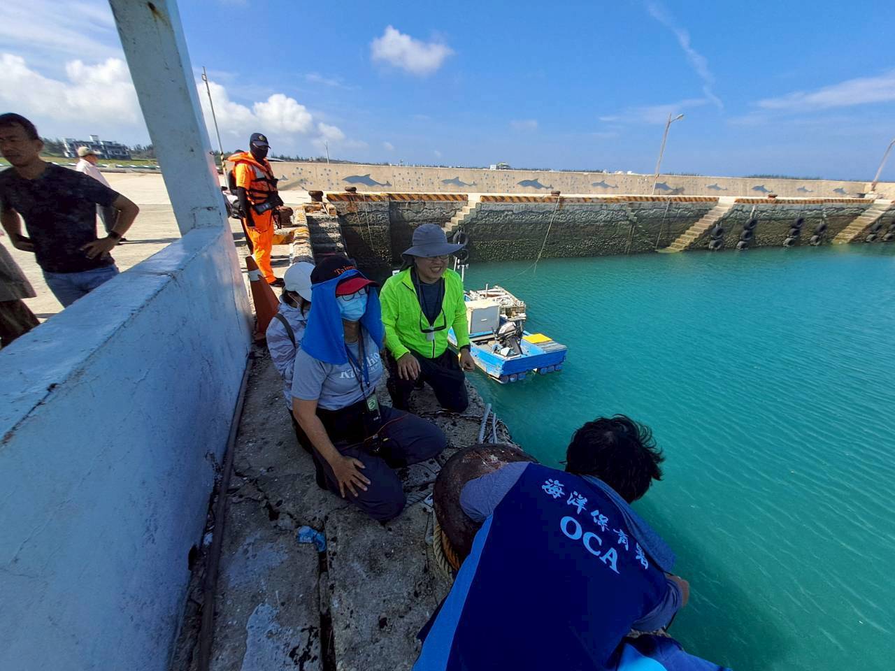 見證海洋野生動物自由自在的美好一刻 澎湖沙港西漁港3隻熱帶斑海豚順利游回大海 見證海洋野生動物自由自在的美好一刻 澎湖沙港西漁港3隻熱帶斑海豚順利游回大海