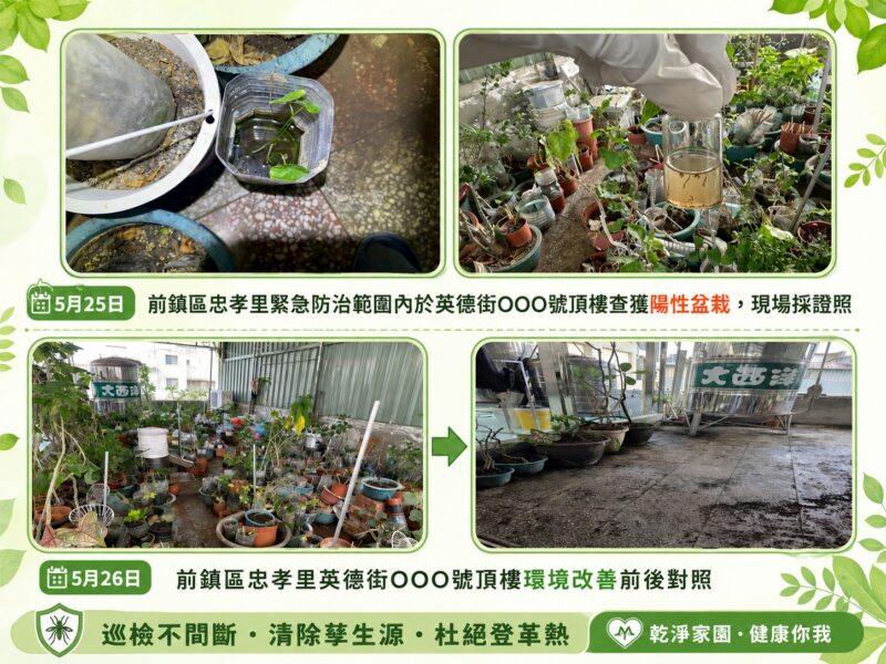 登革熱病媒蚊指數續攀升拉警報　高市衛生局查獲民宅頂樓植栽積水養蚊開單重罰