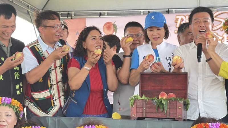 最好吃的水蜜桃在這裡  那瑪夏公所邀民眾共享爆甜母親節