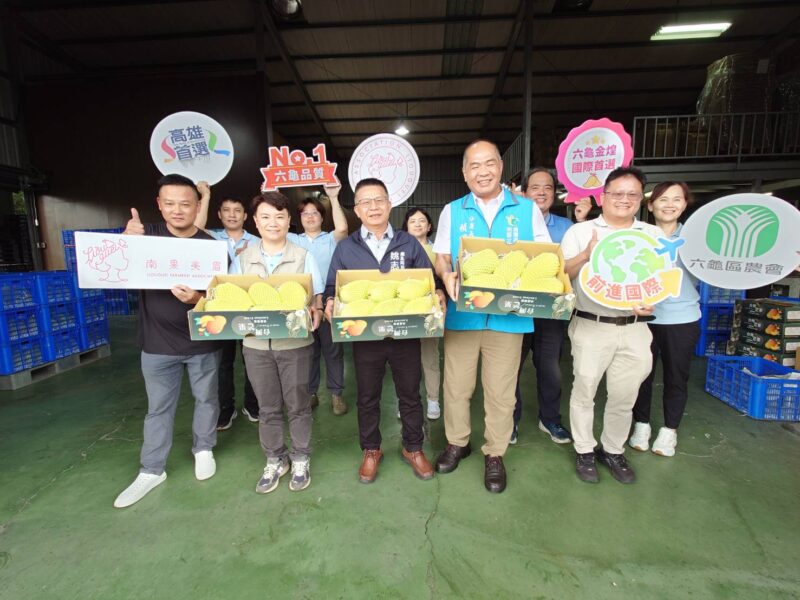 六龜農會領航首櫃外銷新加坡 高雄金煌芒果甜蜜登場！