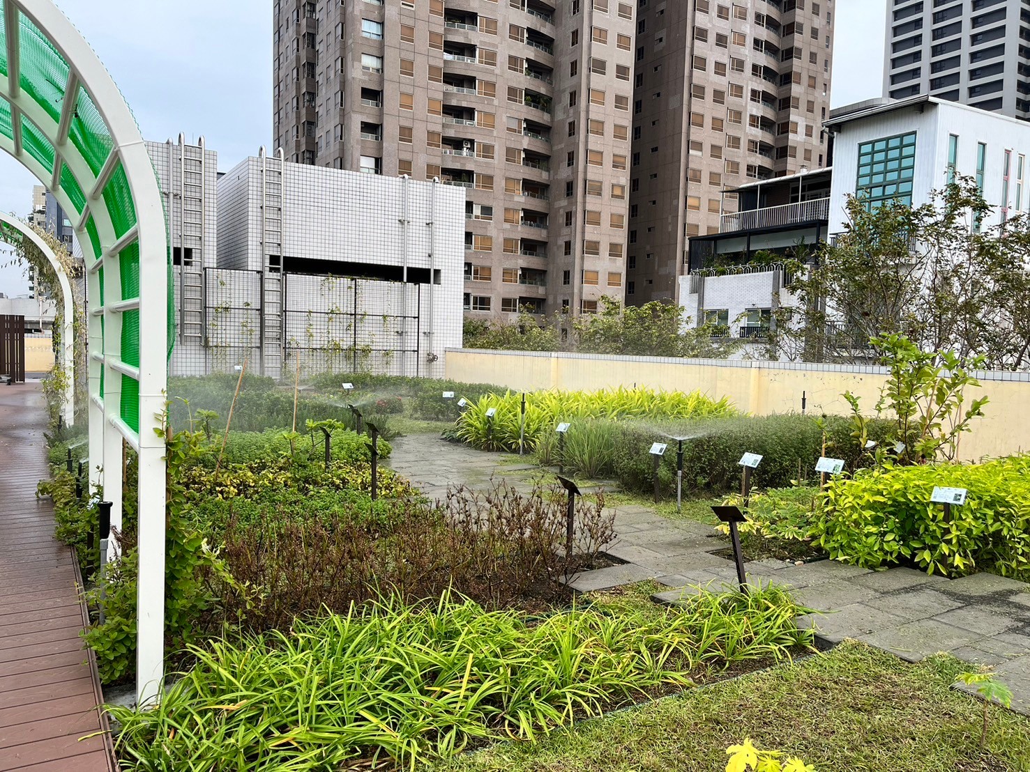 高市工務局綠化補助再一波 補助二階開跑最高80萬元 高市工務局綠化補助再一波 補助二階開跑最高80萬元