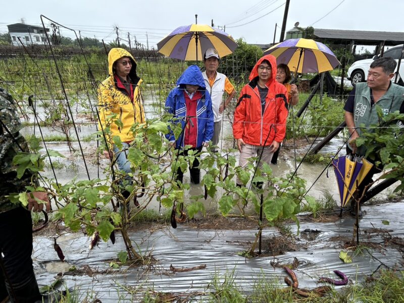 6月豪雨連連造成屏東農損 屏縣府爭取農業部天然災害救助全品項免勘