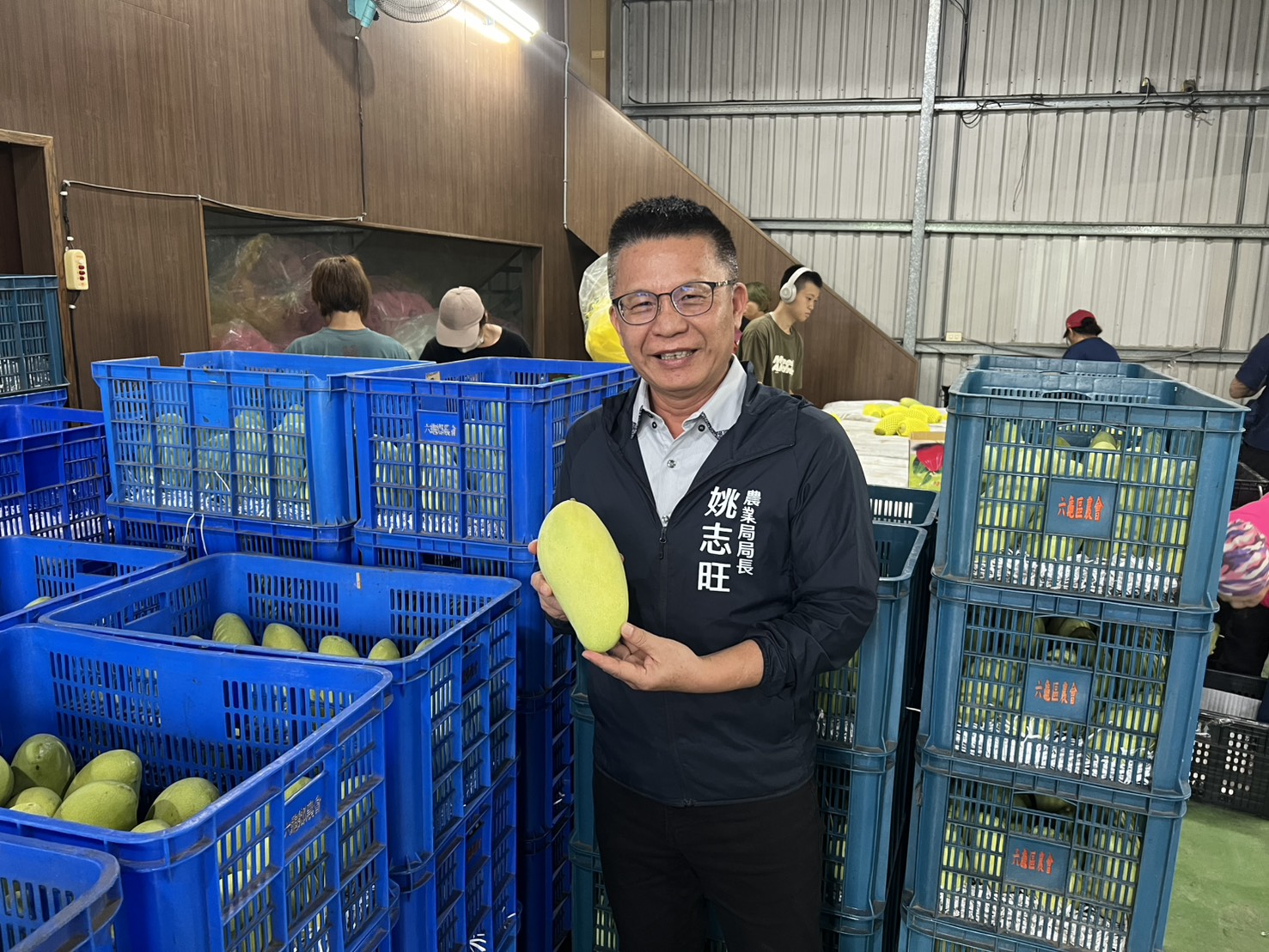 六龜農會領航首櫃外銷新加坡 高雄金煌芒果甜蜜登場! 六龜農會領航首櫃外銷新加坡 高雄金煌芒果甜蜜登場!