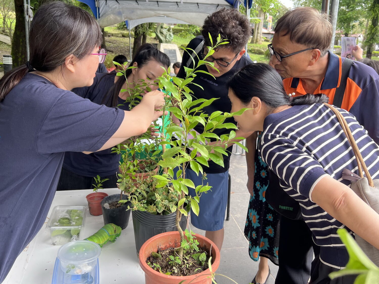 暑假親子好去處!西拉雅「蝴蝶遊樂園」7/18關子嶺開跑 暑假親子好去處!西拉雅「蝴蝶遊樂園」7/18關子嶺開跑