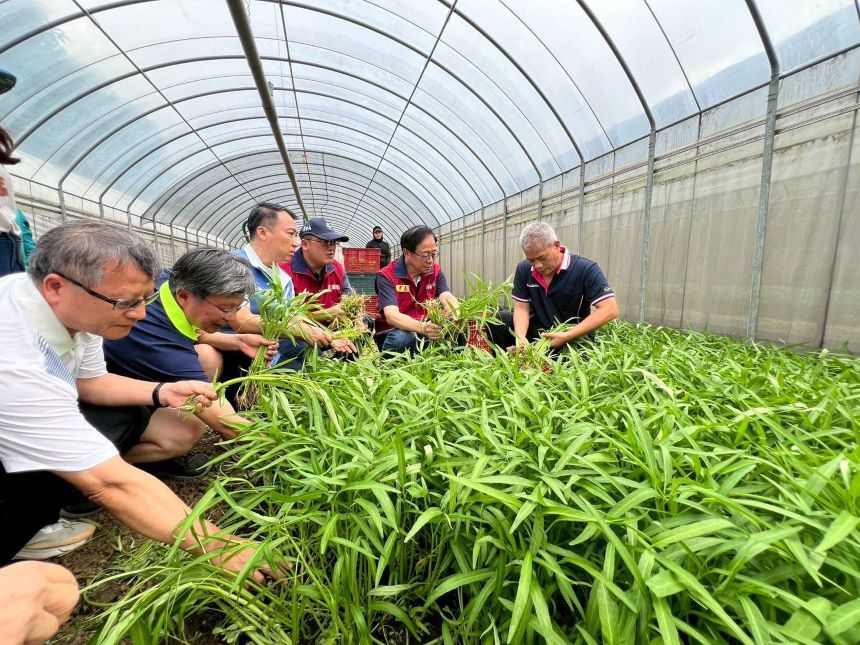 張善政視察新屋蔬菜班防颱整備　全力守護農民收成