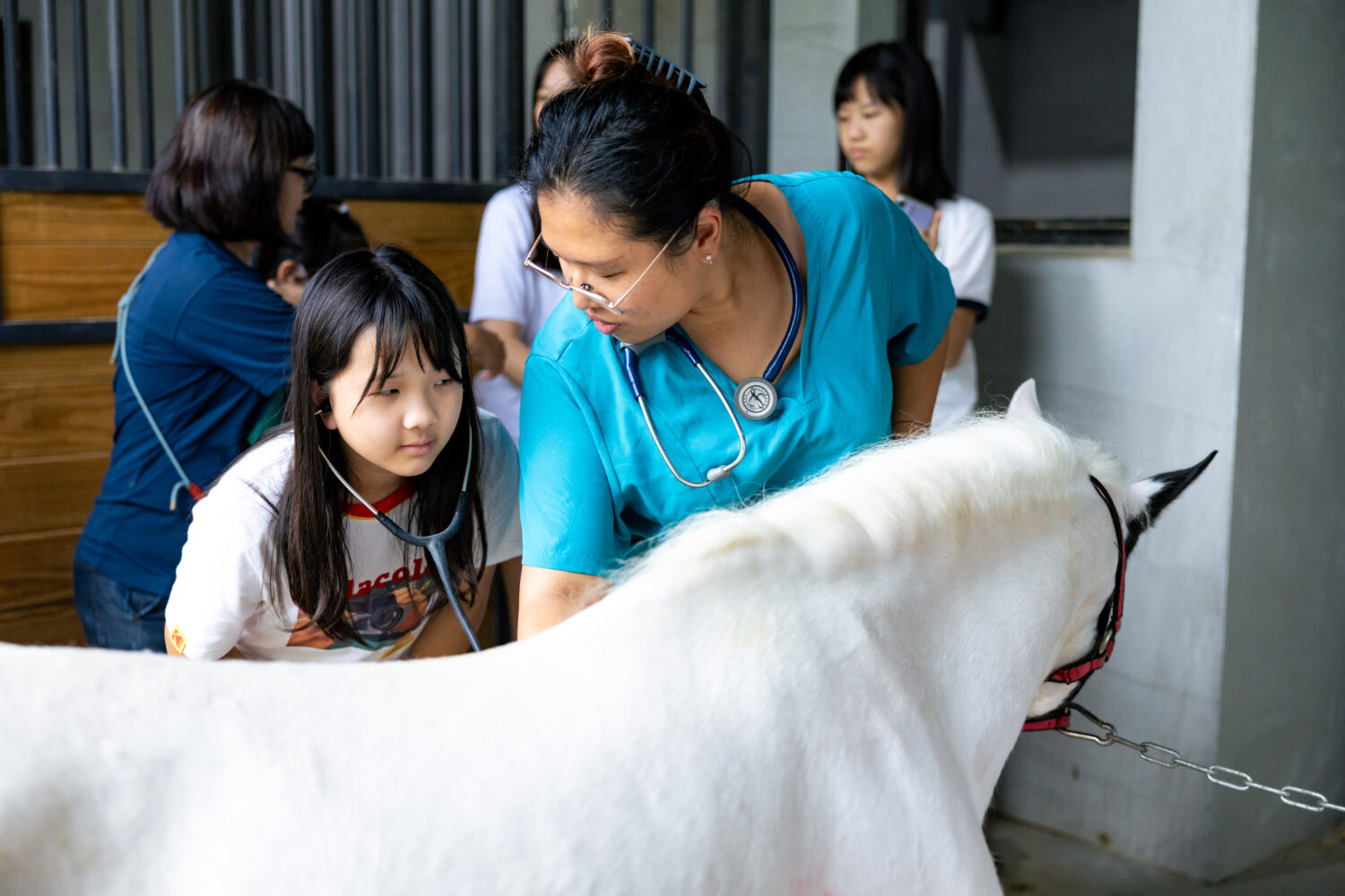 體驗最溫暖的生命教育!高市動保處攜手動物醫院 打造「一日馬病小獸醫」沉浸體驗 體驗最溫暖的生命教育!高市動保處攜手動物醫院 打造「一日馬病小獸醫」沉浸體驗