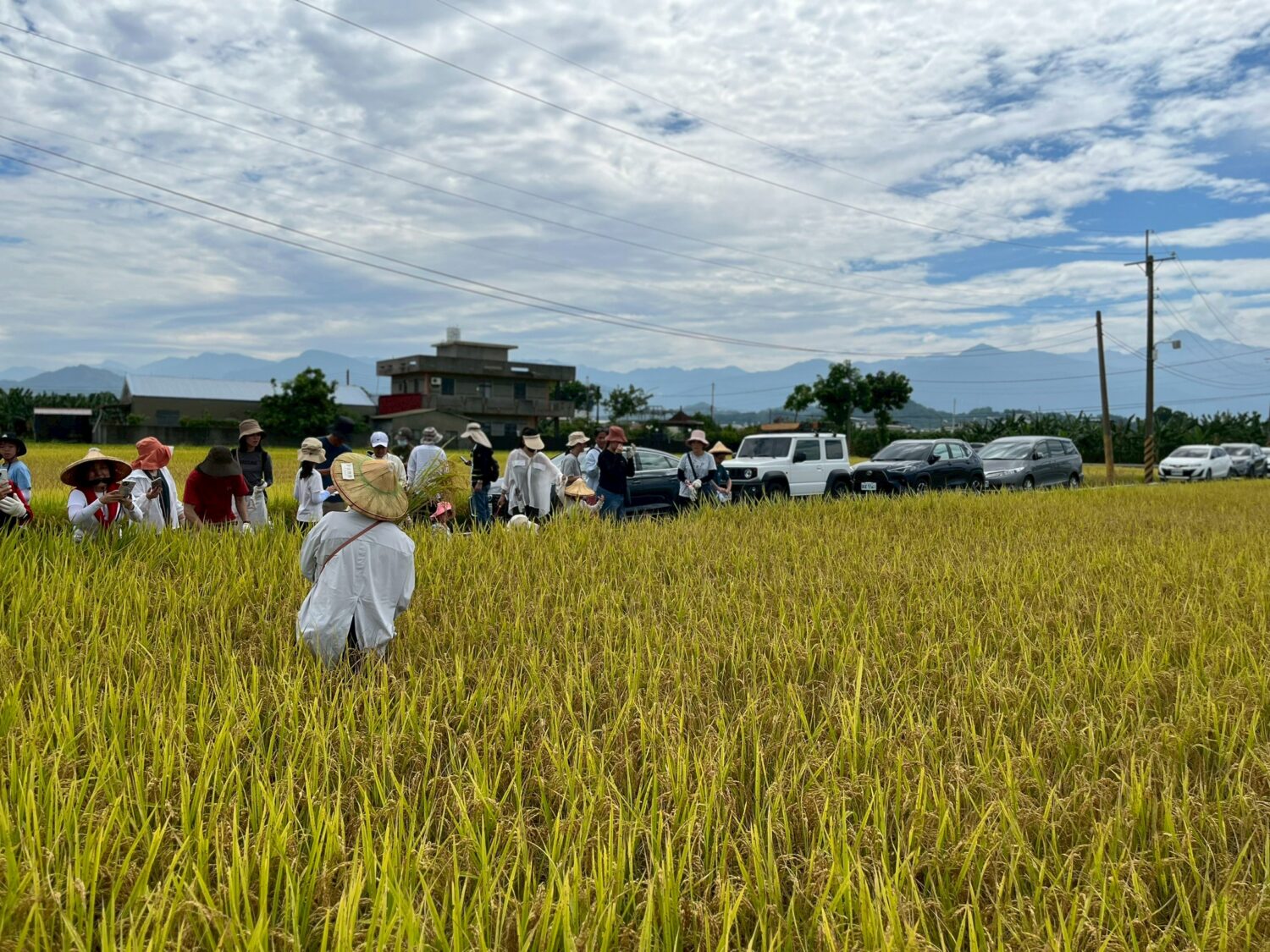 高雄客家米食節首推美濃食農小旅行 邀親子跟著米香走進客庄 高雄客家米食節首推美濃食農小旅行 邀親子跟著米香走進客庄