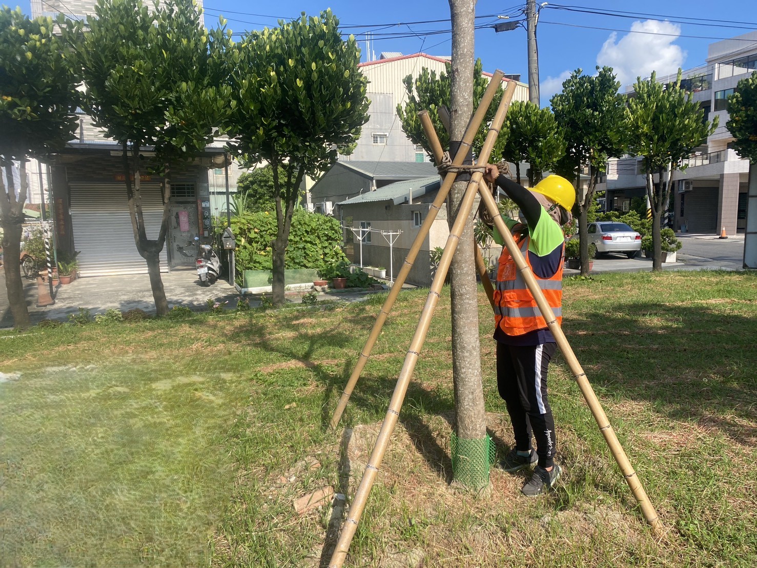 颱風來襲！高市公園處強化護樹防颱應變