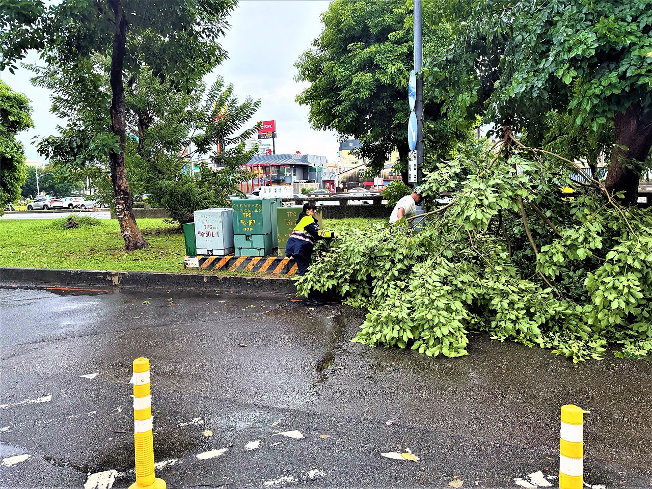 路樹倒塌擋去路　後湖警聯手民眾冒雨移樹