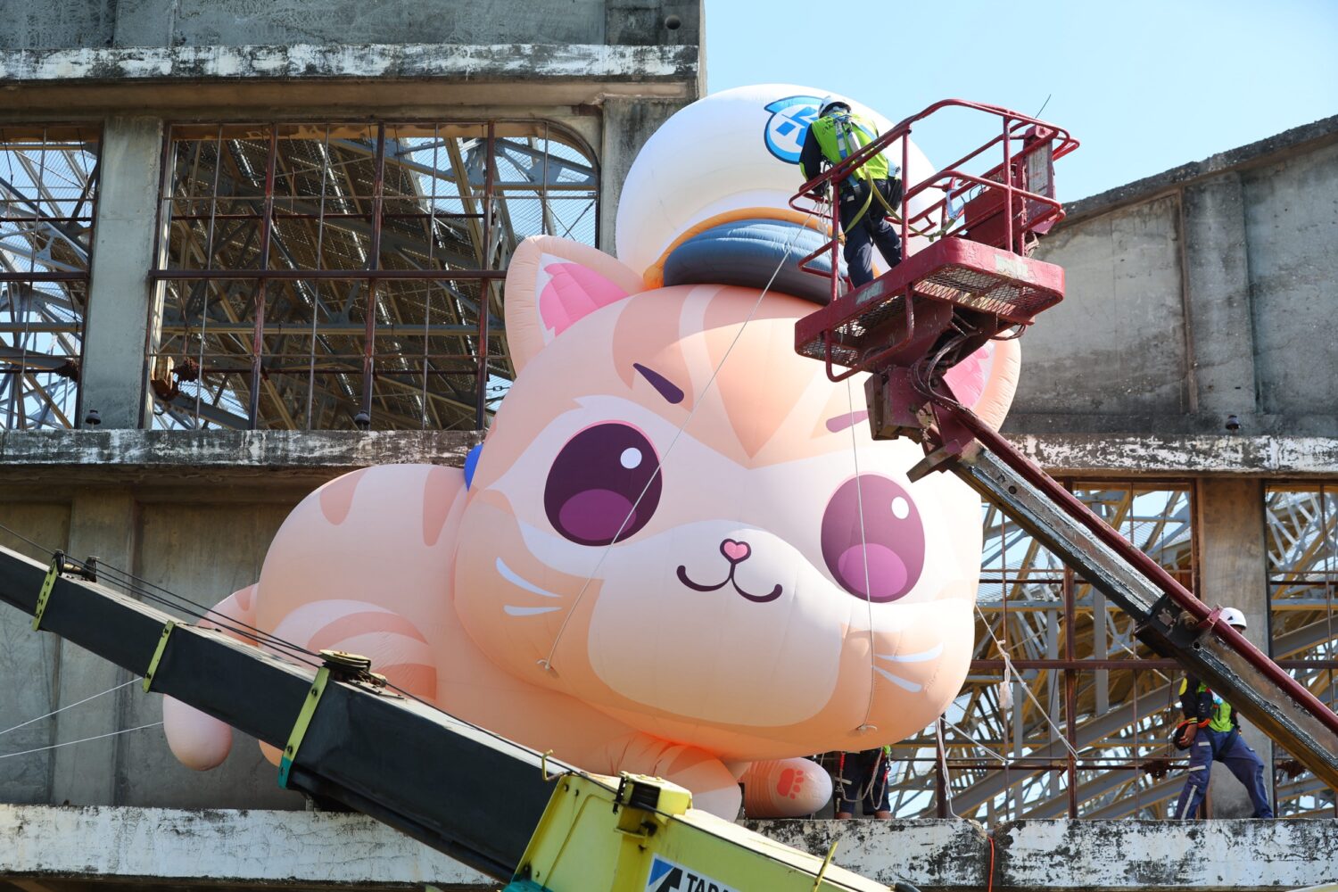 從無心插柳到知名文創萌寵 蜜柑站長以全新主題參與2026臺灣文博會 從無心插柳到知名文創萌寵 蜜柑站長以全新主題參與2026臺灣文博會
