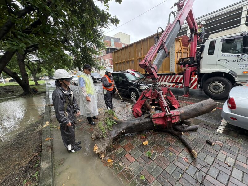 豪雨造成路樹倒塌及斷枝 高市公園處即時動員全力搶災