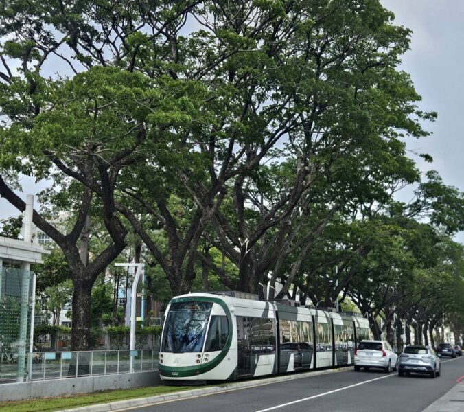 我們都是愛樹人　高市捷運局從工程護樹到科技監測　持續守護輕軌綠色廊道