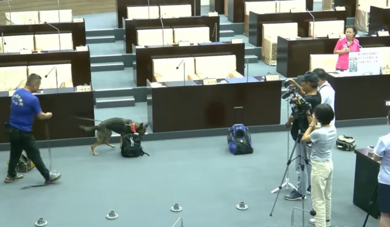 宋懷琳議會秀警犬實測 盼補足校園菸毒防護網