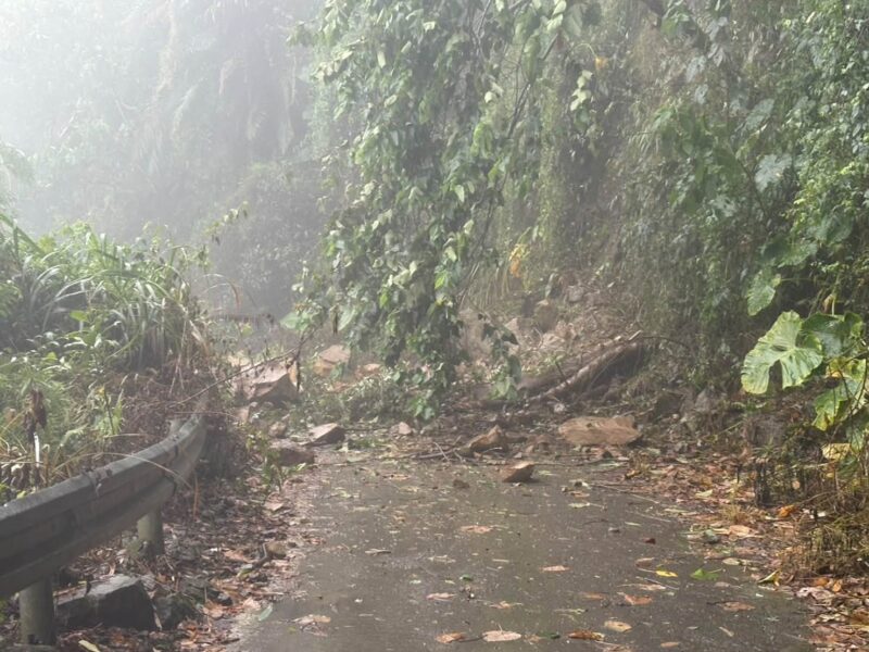薔琵釀停電  台電南投區處挺險點亮每盞燈火